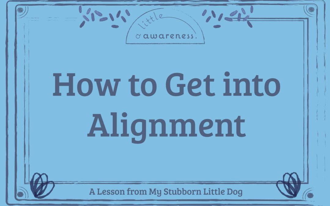 How to Get Into Alignment: A Lesson From My Stubborn Little Dog